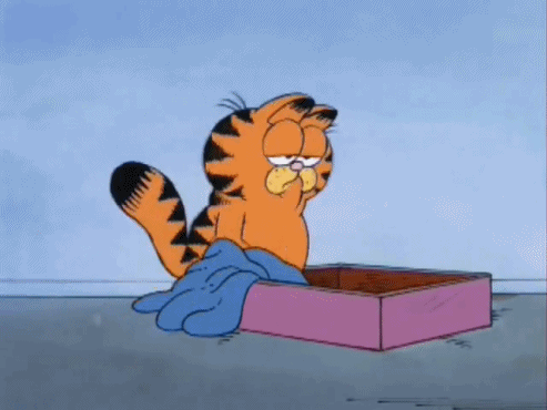 A video of Garfield the cat face planting into his bed